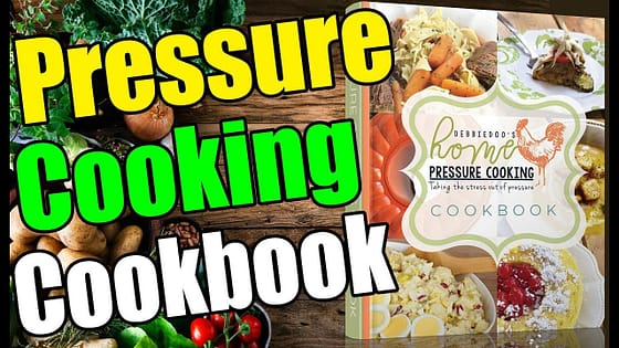 Beginner Friendly Instant Pot/Pressure Cooker recipes