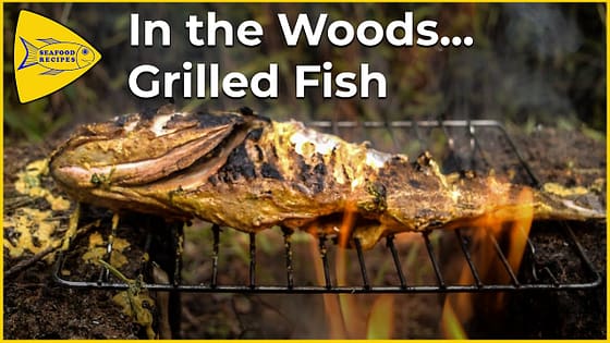Fish Grilled In the Woods | Forest Cooking | In the Wild | Seafood Recipes By Bayman